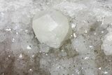 Keokuk Quartz Geode with Calcite & Pyrite Crystals - Missouri #144767-4